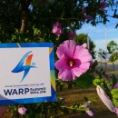 좋은세상 이미지