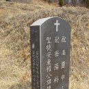 태적