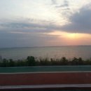 서산팜스 이미지