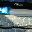 파프리카안경점 이미지