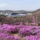 송내대로 포도마을 이미지