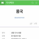 제주 바닷마을 다이어리 이미지