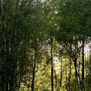 직장인 역량개발 태니지먼트 검사 후기 | 추진유형