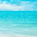 파로스학원 이미지