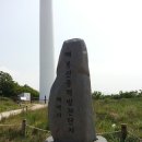 대강목장 티스토리