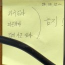 사회입문 청년의 첫 재테크 전략 | 재테크 입문자를 위한 필독서, 저축은 답답하지만 투자는 무서운 당신에게 후기