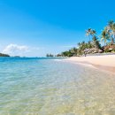 코사무이 이미지