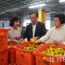 위미농업협동조합 농산물산지유통센터 이미지