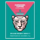 에스티엔커피 - 부천시 원미구 옥산로214번길 43 | 에스티엔커피