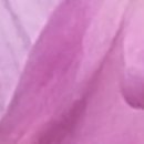 청두곶길 36 이미지