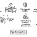 나나비펫 | 갑작스러운 병원비 걱정 없는 펫보험의 모든 것