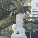 팜풀빌라 | 거제도 오션뷰 펜션 팜 풀빌라 스파