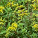 기린초등학교 이미지