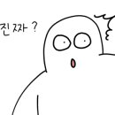 신세무회계 이미지