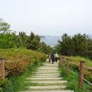 해파랑길 21코스 영덕 블루로드 B 이미지