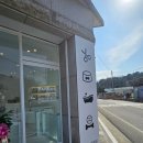 파파독 동해 이미지