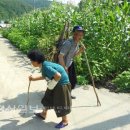 고향 잃고 찾아들어간 산촌마을…세월은 가고 시름만 느네 이미지