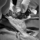 동탄원더스동물의료센터 이미지