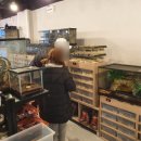 렙타일정글