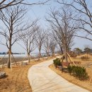 조경숲 투데이안