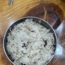 댕댕이 홀딱 반한 간식 | 광주 먹방 여행 로컬 맛집 추천 솔직후기