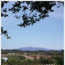 애월초등학교 이미지