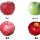 녹색건강원 - 여수시 신월로 621 | 녹색건강원