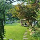 디어마이펫 이미지