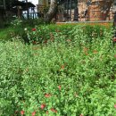 장영훈 행정사 사무소 이미지