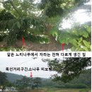 봉곡동2교 이미지