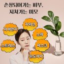 손에스테틱 이미지