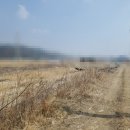 행복한랜시티공인중개사사무소 | [계약후기 경북 청고군 이서면] 청도 잡종지 청도토지거래 청도토지전문부동산