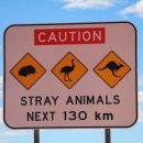 준선농장 이미지