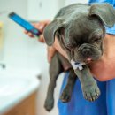 동행동물병원 이미지