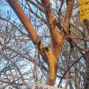 장암진료소 이미지