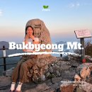 보미저수지 | 거제 북병산 심원사코스 주차 및 일몰 뷰포인트 공유