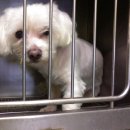 한얼동물병원 이미지