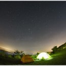 동부축산 이미지