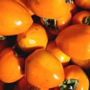 미산농원 이미지