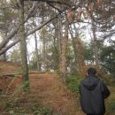 포전마을 이미지