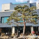 마루아라 하우스 이미지