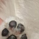 개편한 미용# 이미지