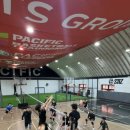 프로발리볼센터 이미지