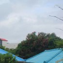 세화약국 앞 네이버블로그
