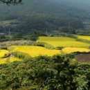 슬로시티청산도 이미지