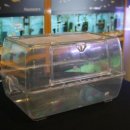 와와스페셜스페이스 | 아쿠시 신년맞이 이벤트 결과!