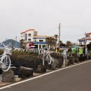 하얀배 민박 이미지