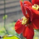 주원약품 이미지