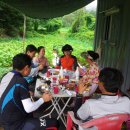 송태호농장 이미지