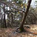 (주)안산신문 | 밀양 열왕산 그냥 동네 뒷산 같은 2026-03-29
